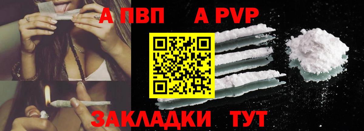 A PVP СК Калининград