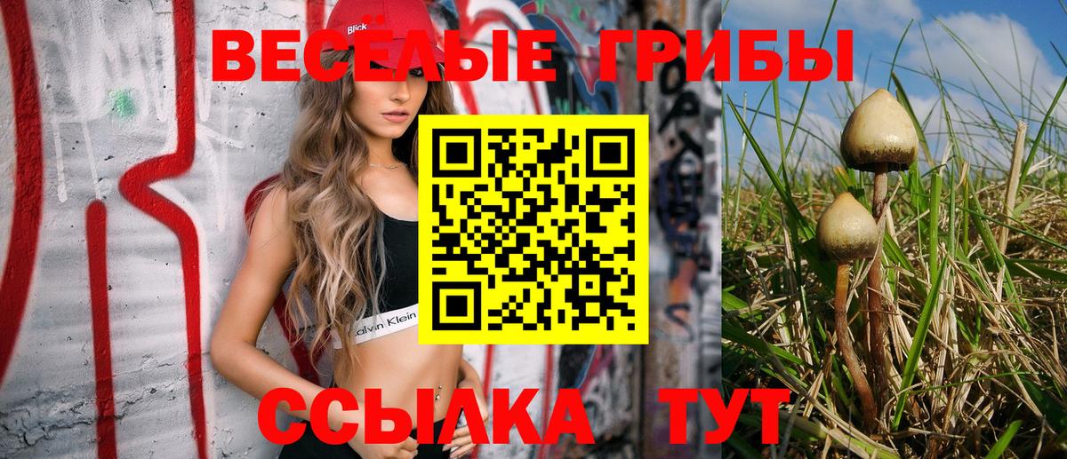 Калининград  Галлюциногенные грибы ЛСД  Вход с VPN  Псилоцибиновые грибы мицелий 
